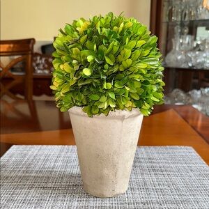 Green Faux Boxwood Topiary in Cream Planter